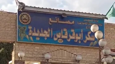 بعد توقفه الموسم الماضي.. مصنع سكر أبو قرقاص يعود للعمل