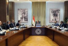 رئيس الوزراء يبحث إجراءات زيادة حجم المعروض من اللحوم الحمراء في الأسواق