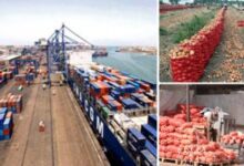 150 ألف طن صادرات غذائية خلال أسبوع.. والسعودية والسودان والإمارات في الصدارة