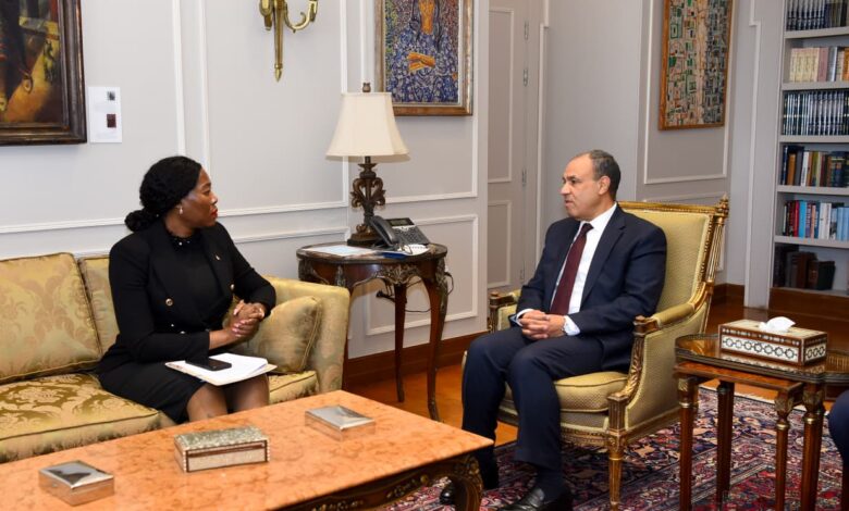 وزير الخارجية يؤكد الحرص على توسيع الشراكات الاستثمارية بين مصر وجنوب أفريقيا