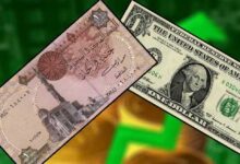 سعر الدولار اليوم الجمعة 30 يناير 2026 في مصر