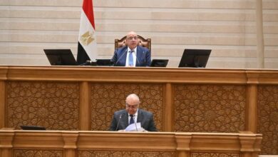 النواب يوافق على اتفاقيتين بمنحتين من كوريا واليابان لدعم مشروعات تنموية وتقنية