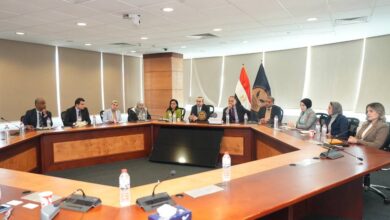 الرقابة المالية والبنك المركزي يناقشان تعزيز الشمول المالي ودعم تمويل المشروعات