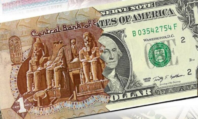 استقرار سعر الدولار أمام الجنيه المصري اليوم السبت مع عطلة البنوك