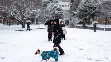 ارتفاع حصيلة ضحايا العواصف الثلجية في اليابان إلى 46 قتيلاً و558 مصاباً
