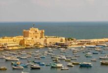 القمح يتصدر واردات مصر الغذائية الأسبوع الماضي.. وروسيا في المقدمة