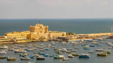 القمح يتصدر واردات مصر الغذائية الأسبوع الماضي.. وروسيا في المقدمة