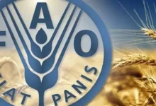 الحكومة المصرية تقود قاطرة التحديث الزراعي في سوهاج لترشيد المياه وزيادة الإنتاجية