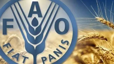 الحكومة المصرية تقود قاطرة التحديث الزراعي في سوهاج لترشيد المياه وزيادة الإنتاجية