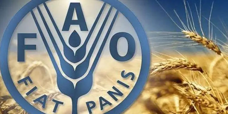 الحكومة المصرية تقود قاطرة التحديث الزراعي في سوهاج لترشيد المياه وزيادة الإنتاجية