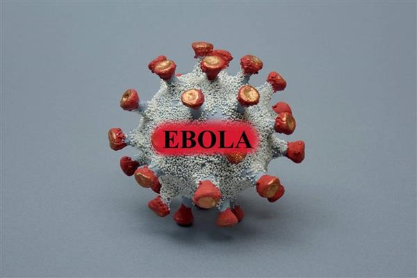 أوغندا تعلن تسجيل إصابتين جديدتين بفيروس إيبولا