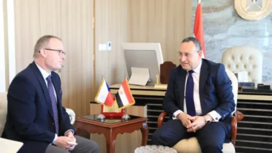 مصر والتشيك تبحثان إنشاء أودية تكنولوجية وتحويل البحث العلمي إلى صناعة