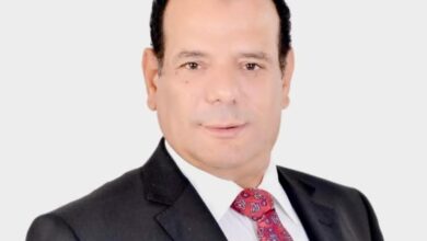 حراك واسع داخل حماة وطن بالجيزة.. ونافع عبدالهادي يعيد ترتيب الصفوف