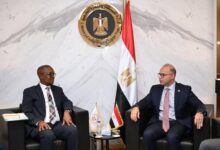 معارض متبادلة ومسار سريع للأدوية.. خطوات جديدة بين مصر وجنوب إفريقيا
