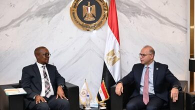 معارض متبادلة ومسار سريع للأدوية.. خطوات جديدة بين مصر وجنوب إفريقيا