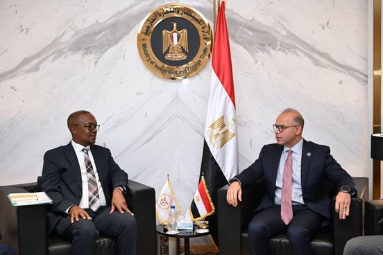 معارض متبادلة ومسار سريع للأدوية.. خطوات جديدة بين مصر وجنوب إفريقيا