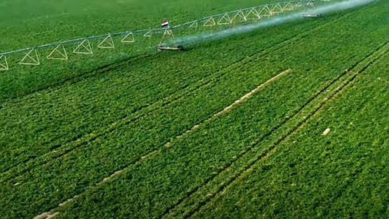 مستقبل مصر: 2.2 مليون فدان جديدة لدعم الأمن الغذائي