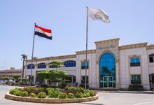 ميناء دمياط يستقبل ويغادر 13 سفينة خلال 24 ساعة.. وتداول أكثر من 40 ألف طن بضائع