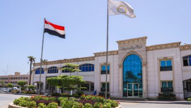ميناء دمياط يستقبل ويغادر 13 سفينة خلال 24 ساعة.. وتداول أكثر من 40 ألف طن بضائع