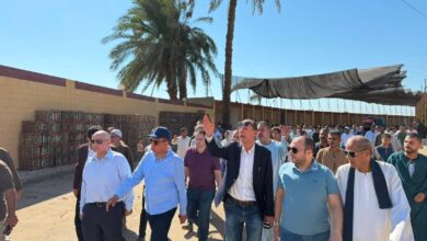 بحضور محافظ المنيا.. افتتاح سوق بني مزار الحضاري الجديد إيذانًا بانطلاق مرحلة جديدة من التطوير