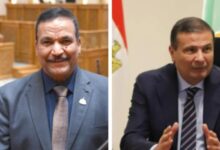 بحضور محافظ المنيا.. افتتاح سوق بني مزار الحضاري الجديد إيذانًا بانطلاق مرحلة جديدة من التطوير